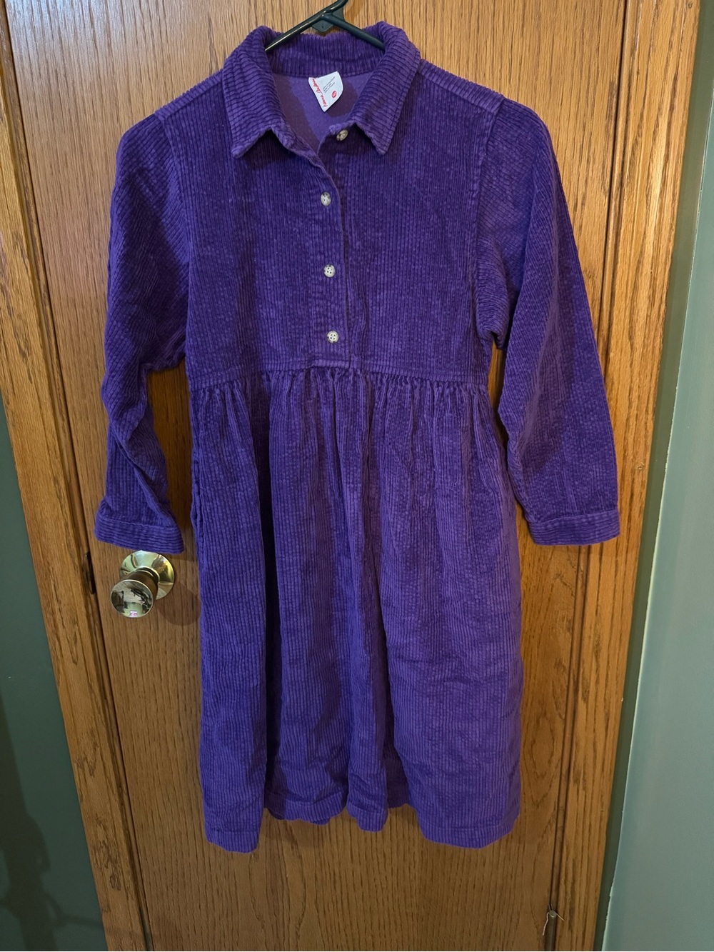 Hanna Andersson Purple Corduroy Button-Front Dress